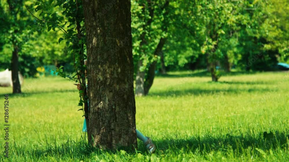 Baby girl 3 years child is hiding behind a tree in the park and smiling at camera Baby girl 3 years child is hiding behind a tree in the park and smiling at camera