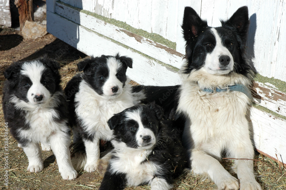 Obraz premium family portrait