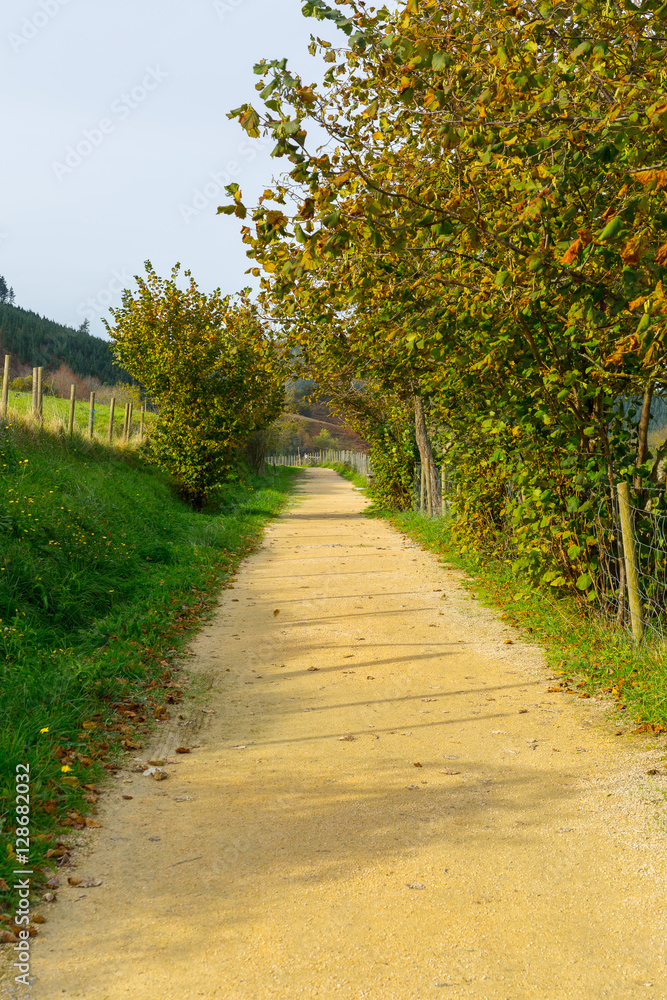 Fototapeta premium Encantos del Pais vasco / Charms of the Basque country