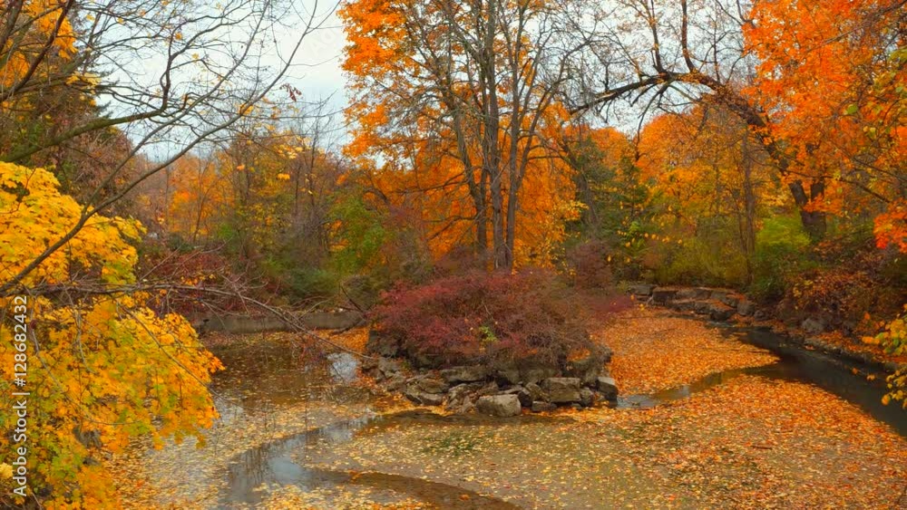 Stock video of beautiful fall foliage in Canada Stock video of beautiful fall foliage in Canada
