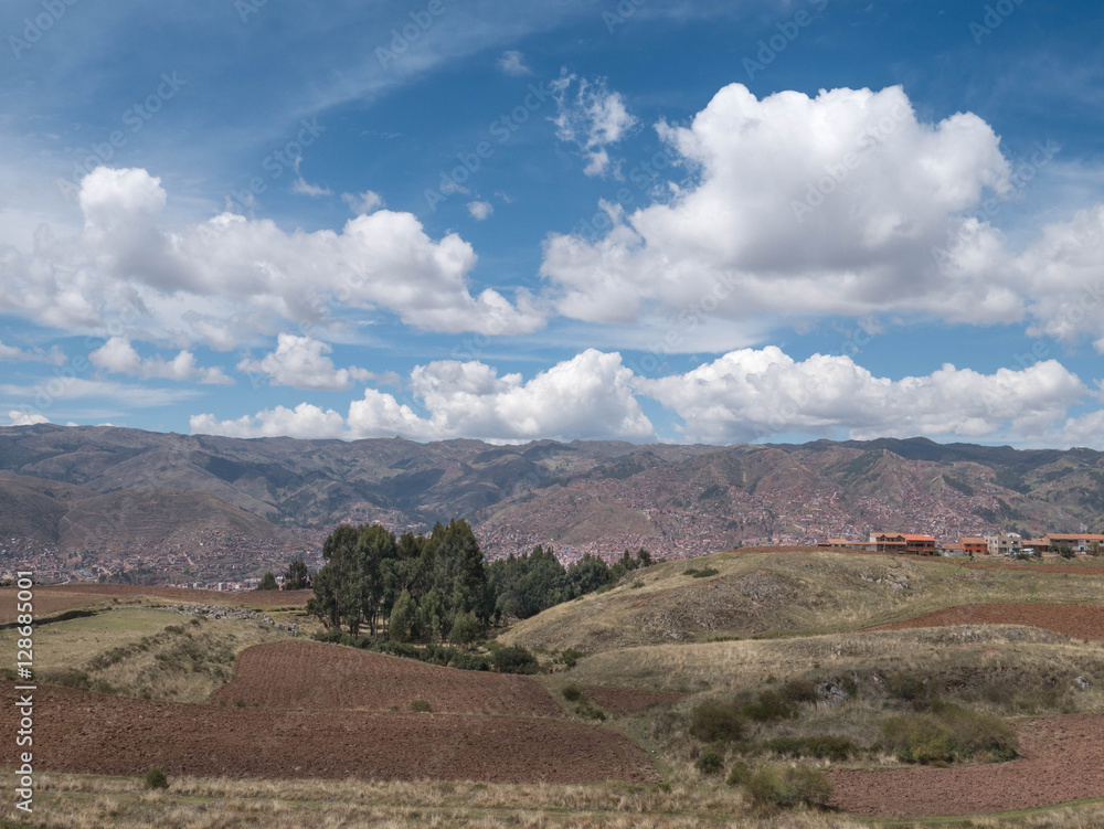 Fototapeta premium Potato plantation at Sacred Valley in Cusco, Peru
