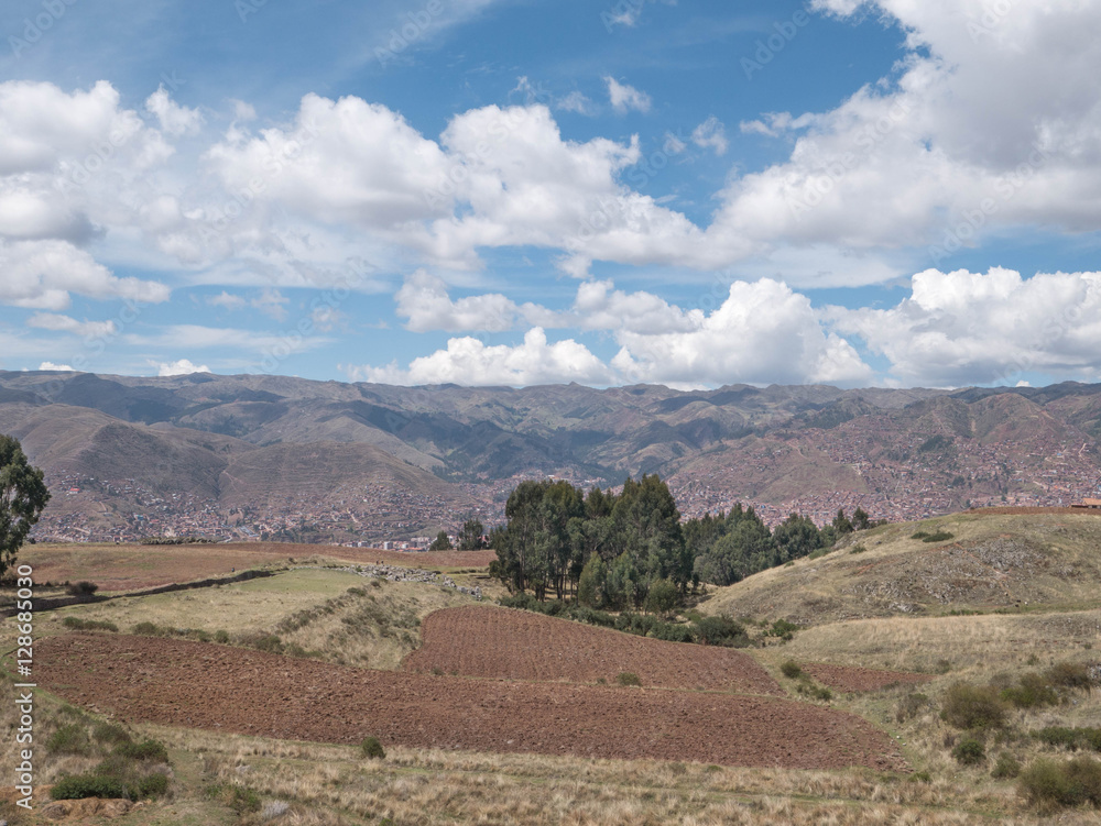 Potato plantation at Sacred Valley in Cusco, Peru