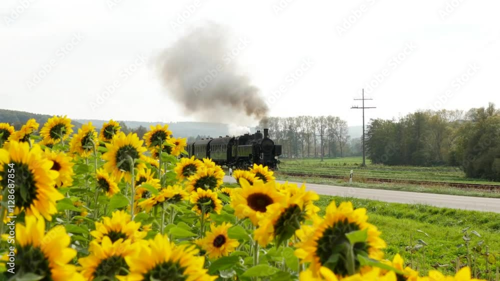 Flower Steam Engine nostalgic steam engine train locomotive crossing in front of sun flower ...