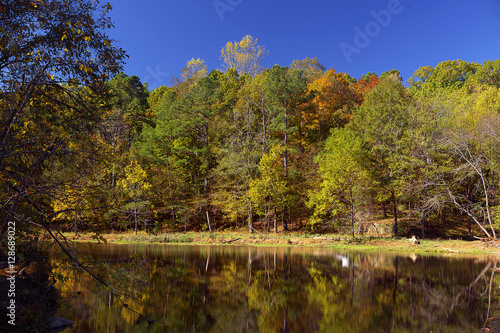 Colorful trees reflecting on a lake on blue sky background