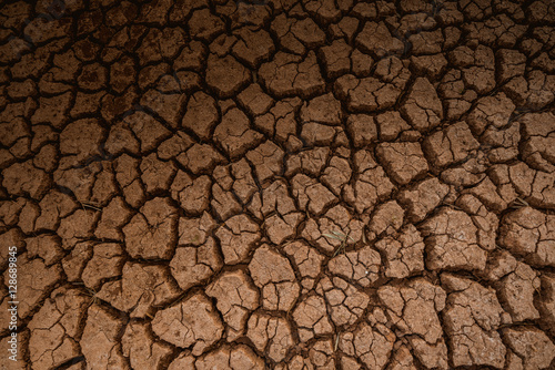 Land with dry and cracked ground texture. Desert, hot climate, dry salt earth.