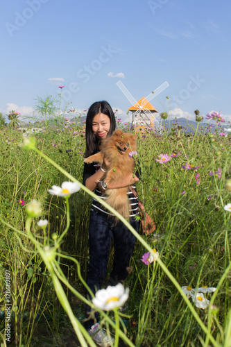 Thai woman and pomeranian with turbine in cosmos field, Muangkae photo