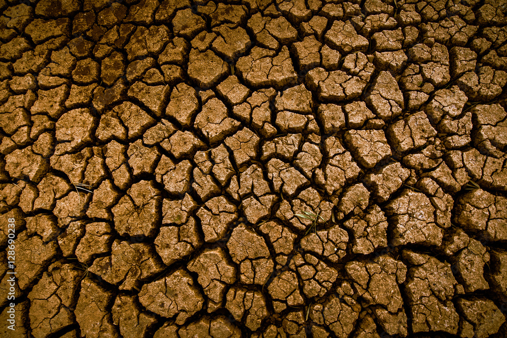 Land with dry and cracked ground texture. Desert, hot climate, dry salt earth. Land with dry and cracked ground texture. Desert, hot climate, dry salt earth.