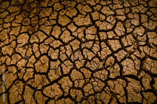 Land with dry and cracked ground texture. Desert, hot climate, dry salt earth.