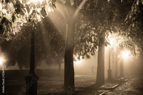 Foggy night in a park with a silhouette of a man in the middle o