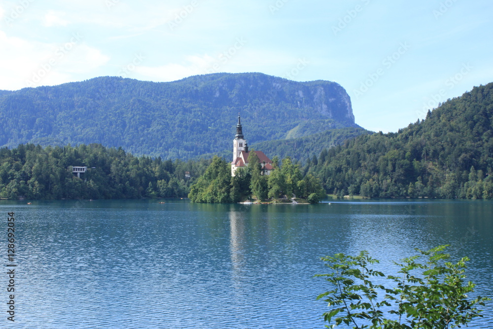 Fototapeta premium ブレッド湖(スロベニア) 