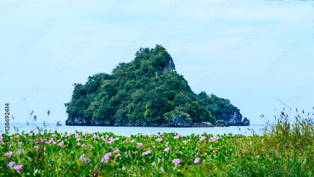 Koh at Aouw Nang bay a ndaman sea Krabi, South of Thailand.