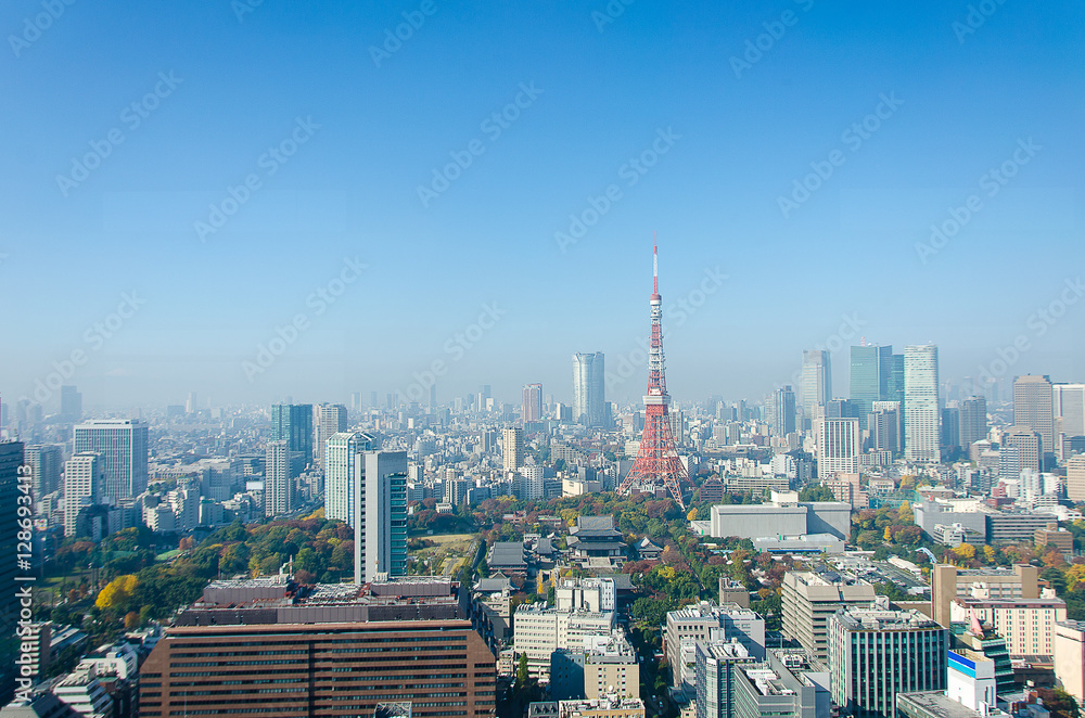 Fototapeta premium Tokyo Tower w Tokio w Japonii