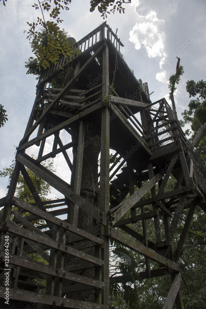 Obraz premium forest ranger wood post outpost tower in jungle