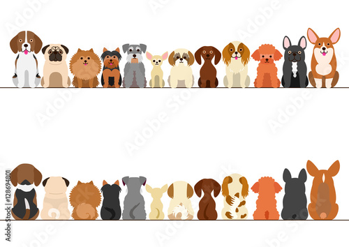 small dogs border set, front view and rear view © Studio Ayutaka