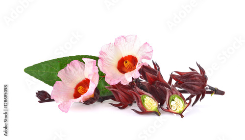 Hibiscus sabdariffa or roselle flower