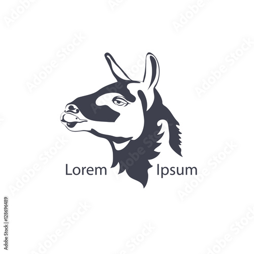 alpaca head. gray vector logo