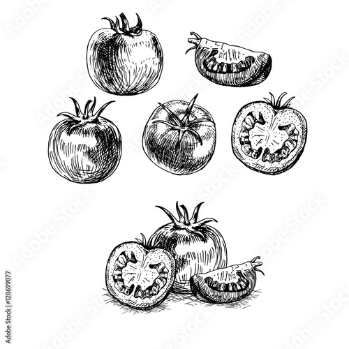 Hand drawn set of tomato. Vector sketch