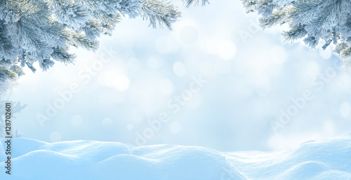 Christmas background with fir tree branch.Winter landscape © Lilya