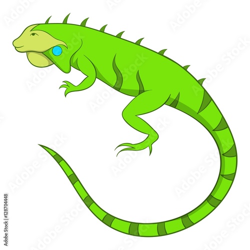 Iguana icon. Cartoon illustration of iguana vector icon for web