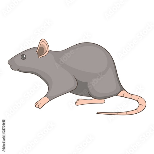 Rat icon. Cartoon illustration of rat vector icon for web