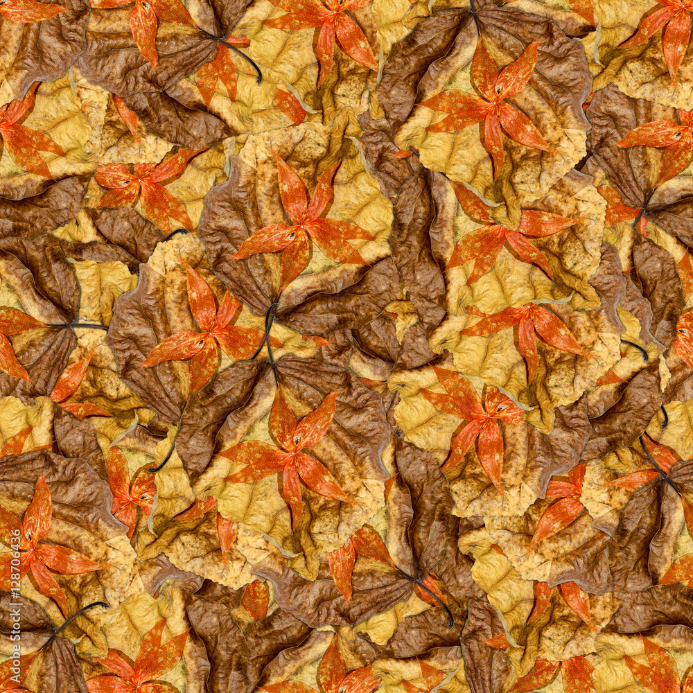 seamless background pattern texture of huge leaves of poplar wi seamless background pattern texture of huge leaves of poplar wi