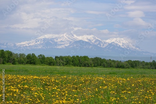 snow-covered mountains, snow-clad mountains and flower garden