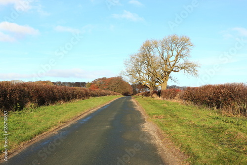 A quiet country road with grass verges, hedgerows and Ash trees on the Yorkshire wolds in autumn.