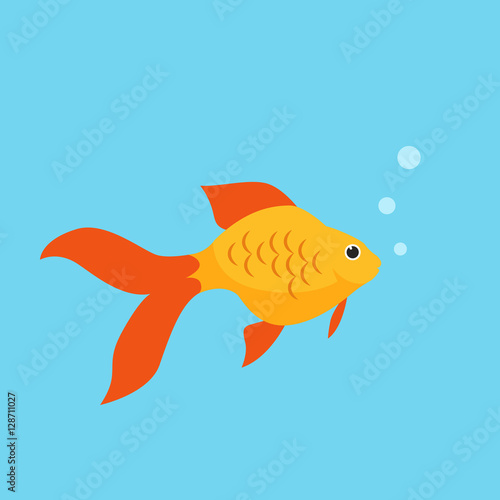 Orange Goldfish with bobbles of air.
