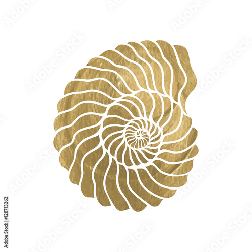 Graphic circle seashell