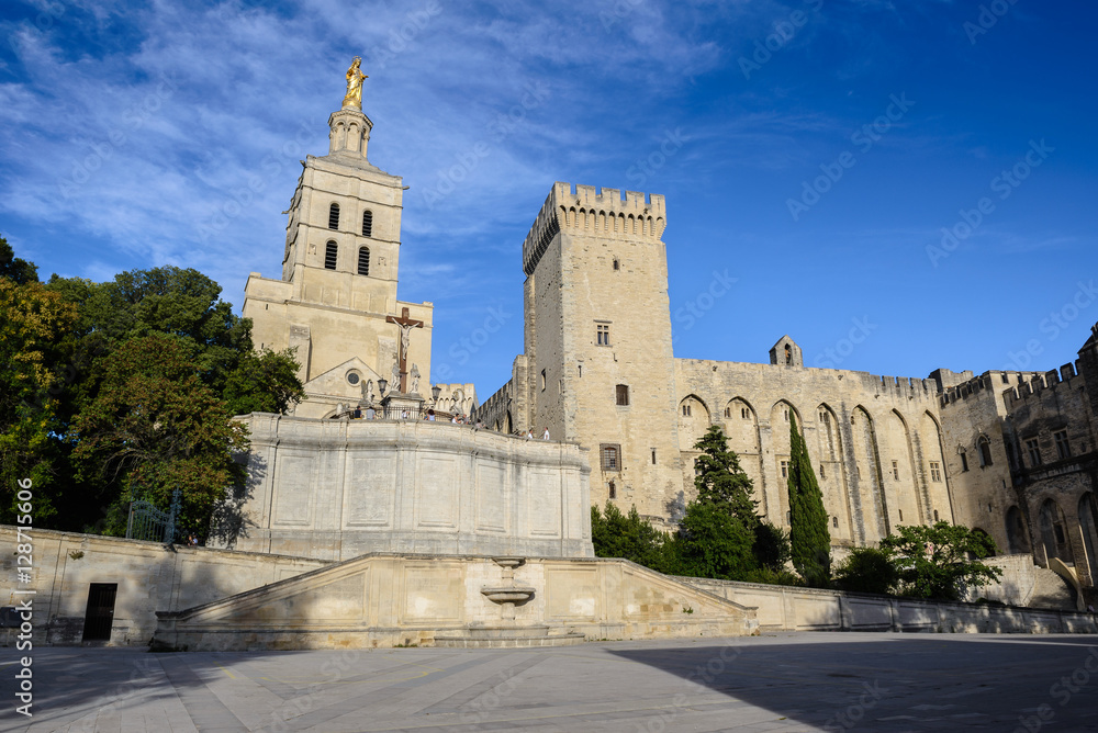 Avignon Cathedral and the Palais des Papes, Avignon in southeast France Avignon Cathedral and the Palais des Papes, Avignon in southeast France