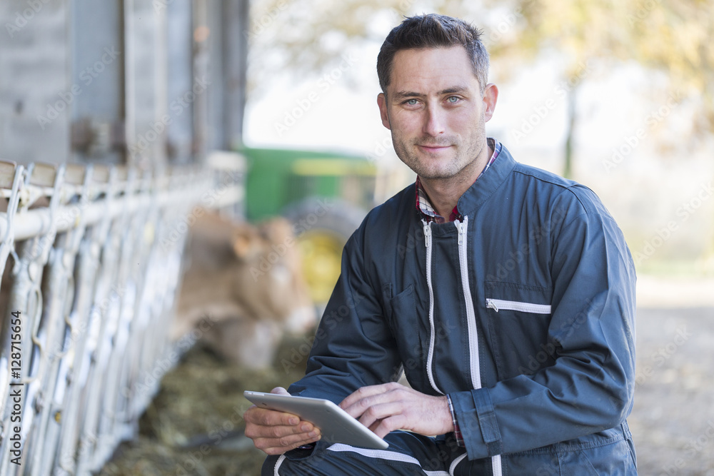 Farmer in barn using digital tablet Farmer in barn using digital tablet