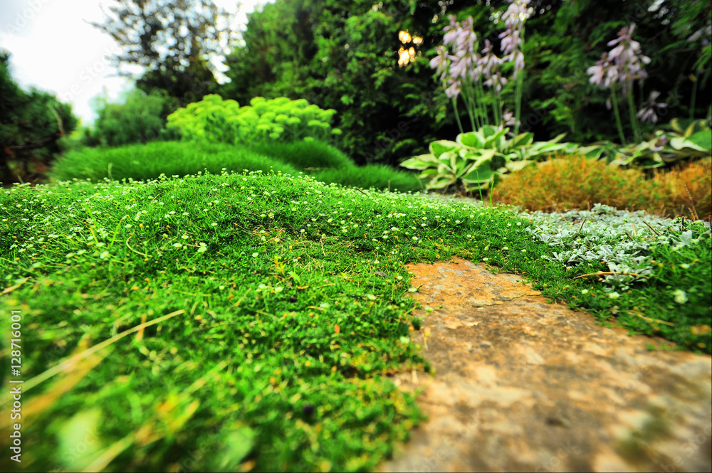 Obraz premium landscape design