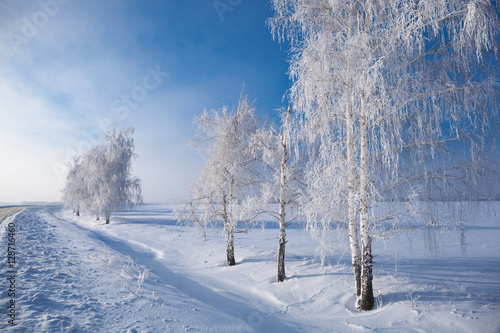 winter landscape with trees covered by hoarfrost