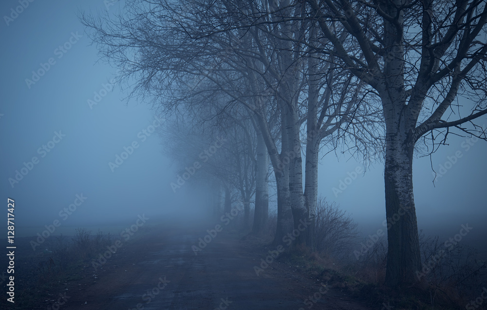 Mystic fantasy scene a foggy day Mystic fantasy scene a foggy day