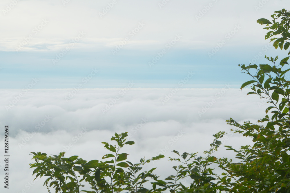 Sea mist in Morning at Pha Mor E-Dang in Si Sa Ket province,Thailand