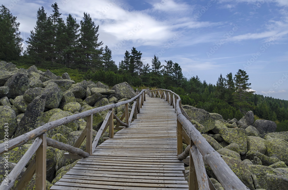 Fototapeta premium Unique stone river with big granite stones or moraine and wooden bridge in the Vitosha National Park Mountain , Bulgaria 