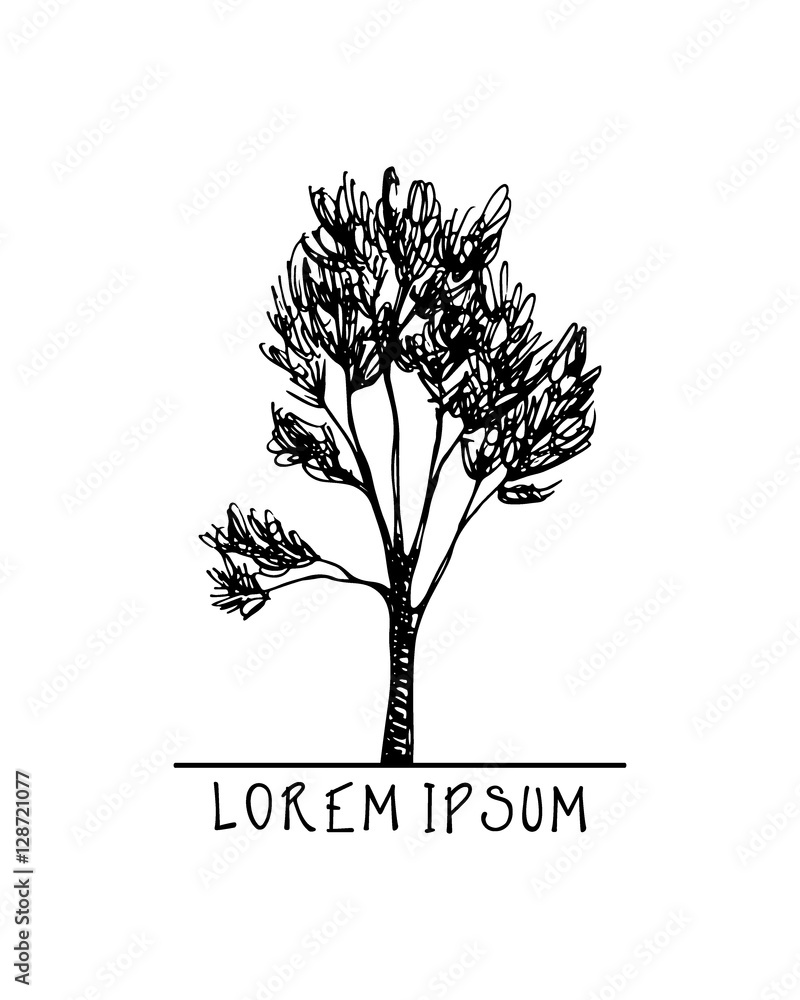 Obraz premium Hand drawn tree