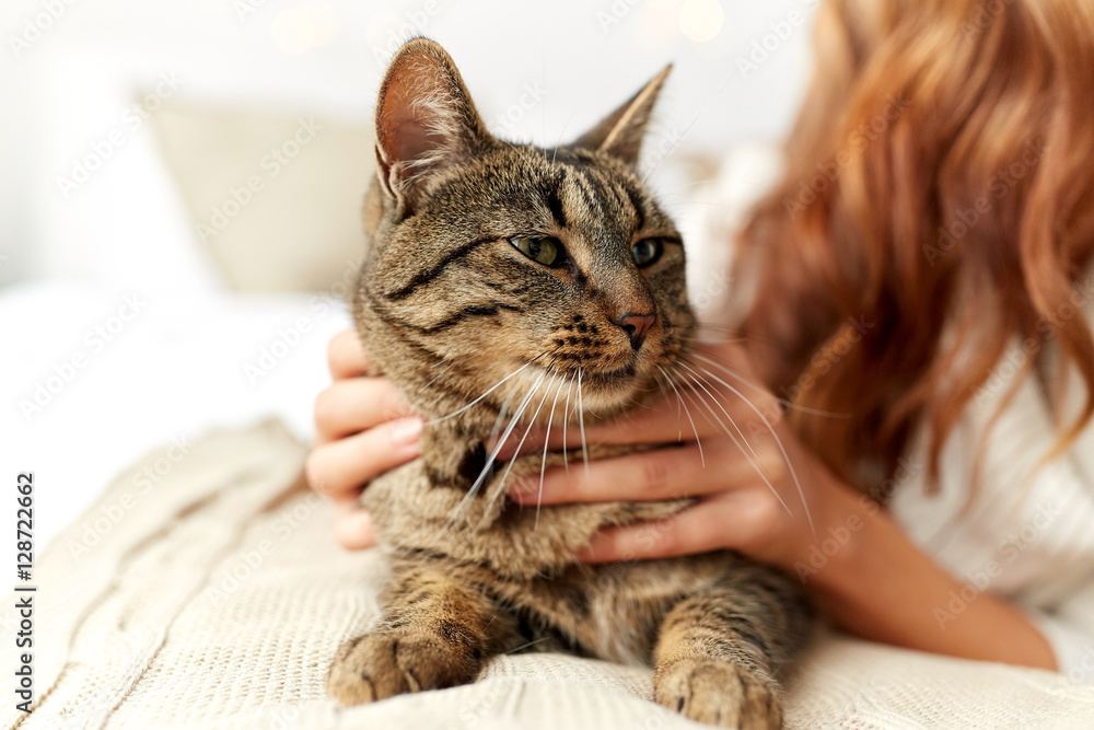 young woman with cat lying in bed at home young woman with cat lying in bed at home