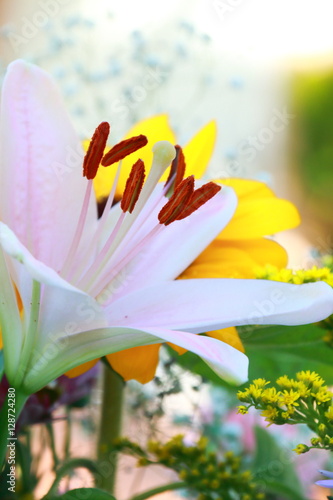 Fototapeta Naklejka Na Ścianę i Meble -  Flower foreground