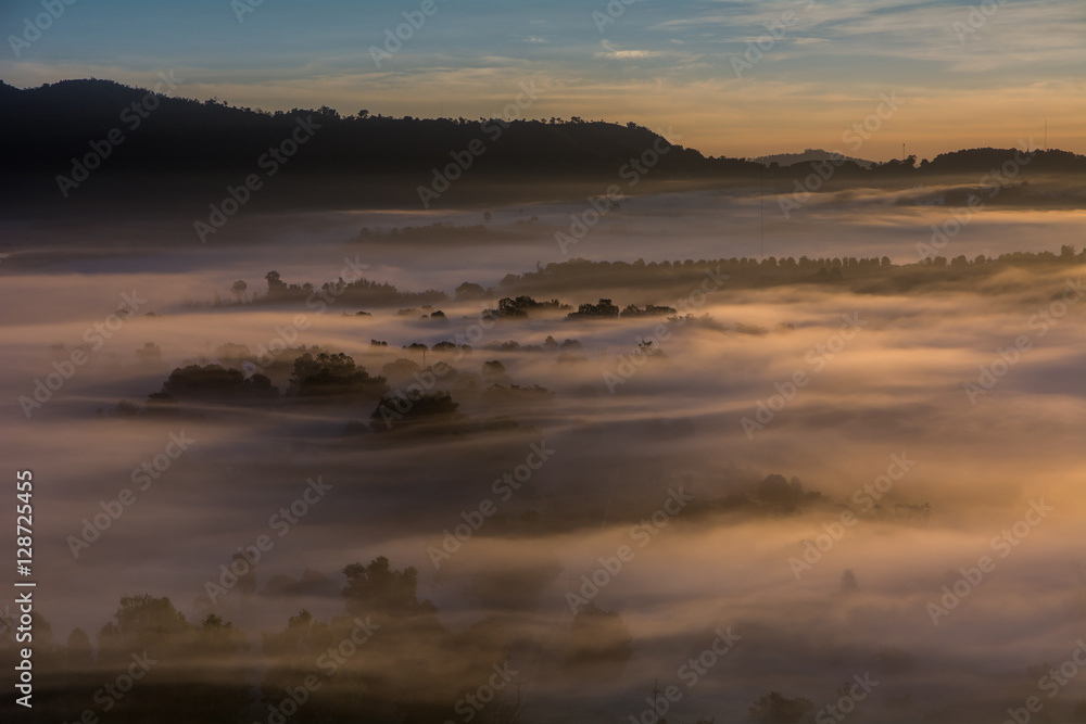 mist over the valley of mountain at sun rising giving a beautiful mist over the valley of mountain at sun rising giving a beautiful