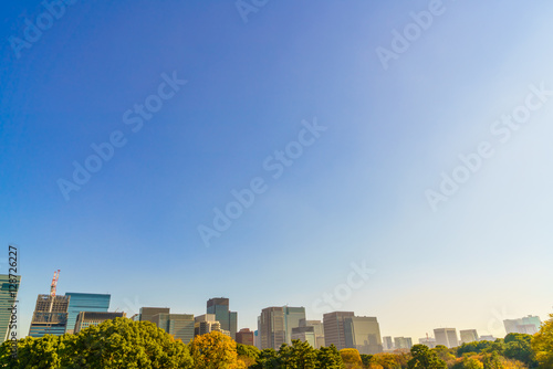 Tokyo, Japan cityscape