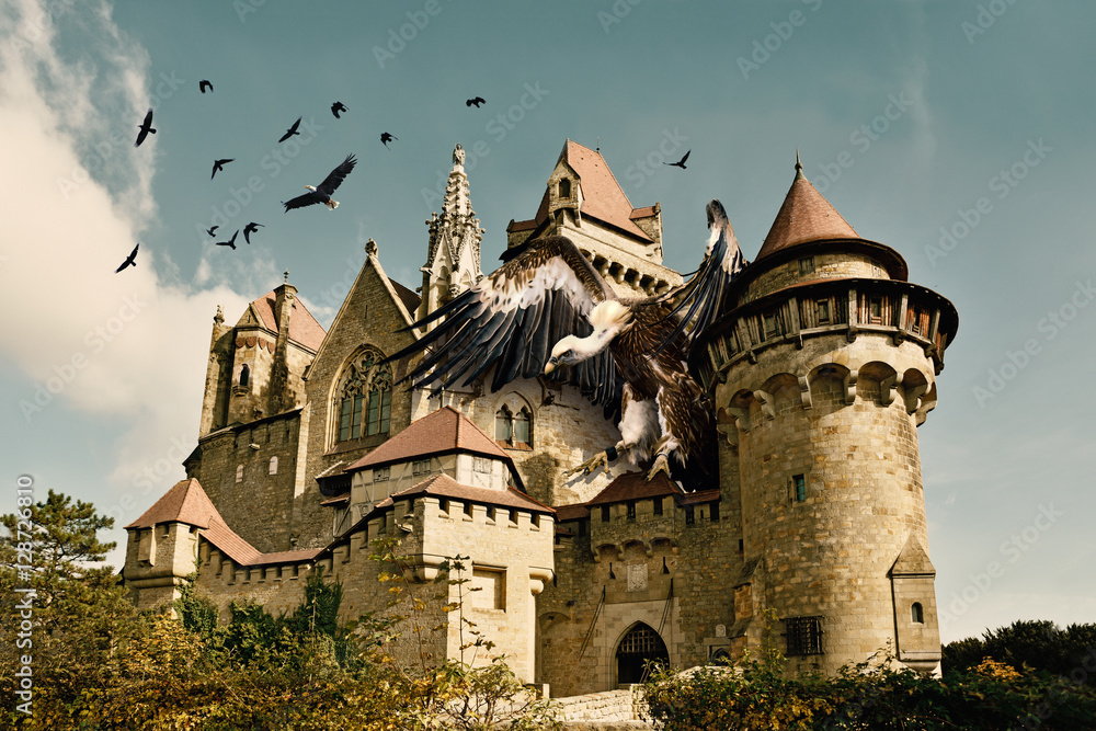 vulture on castle phantasy