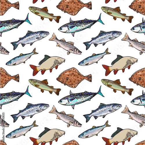 Seamless pattern, sea fish sketch style vector illustration. Realistic sketch style sea fish as seamless pattern, backdrop, wallpaper, wrap, textile design. Tuna herring sea bass flatfish perch carp