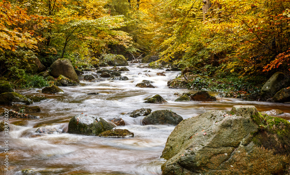 Obraz premium Fluss Ilse im Harz