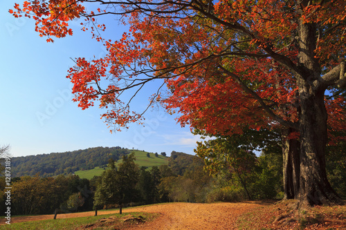 Hiking trail down to Jefferson's grave on the property of Monticello,