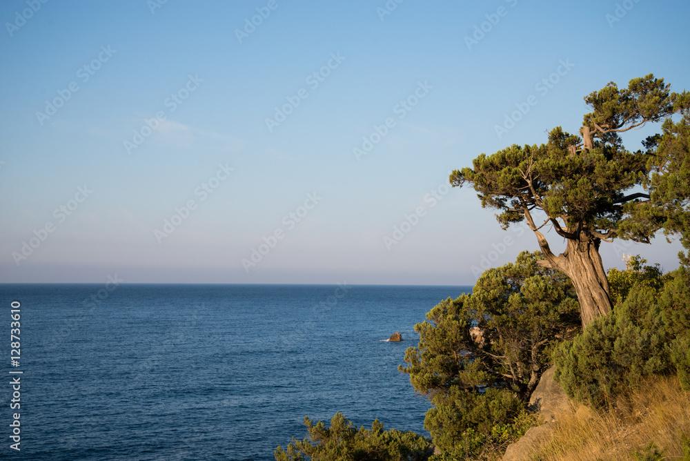 Obraz premium the black sea