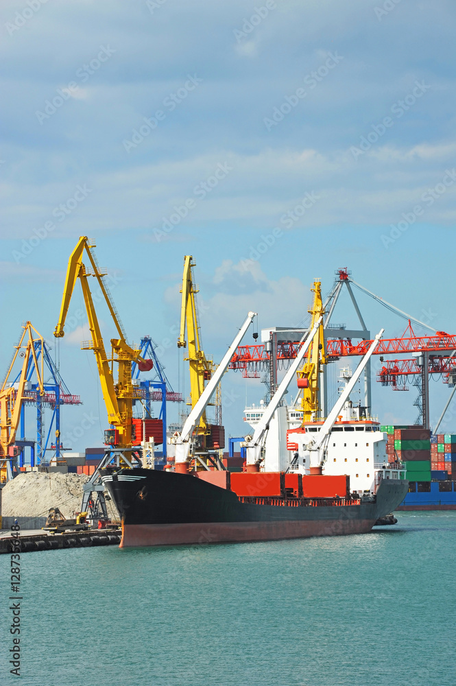 Bulk cargo ship under port crane