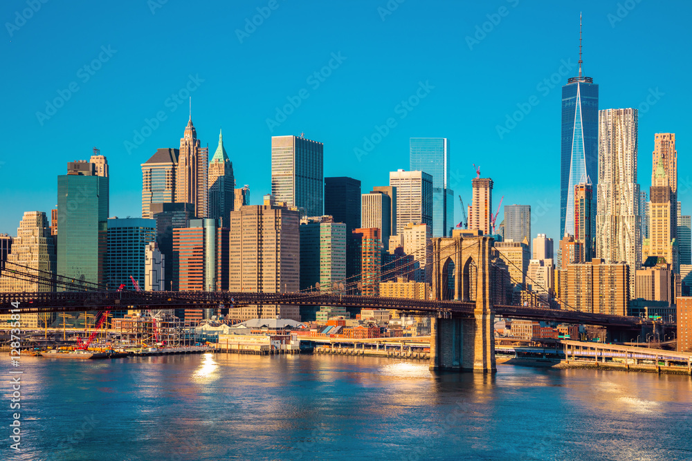 Skyline of downtown New York at the morning light , New York Cit - obrazy, fototapety, plakaty 