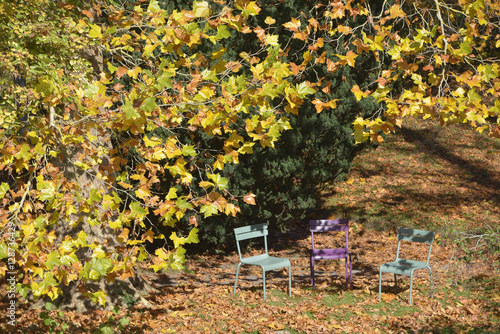 Fototapeta Naklejka Na Ścianę i Meble -  Three chairs among fall leaves in France in department Ile-de-France