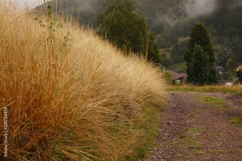 Stroh im Herbst